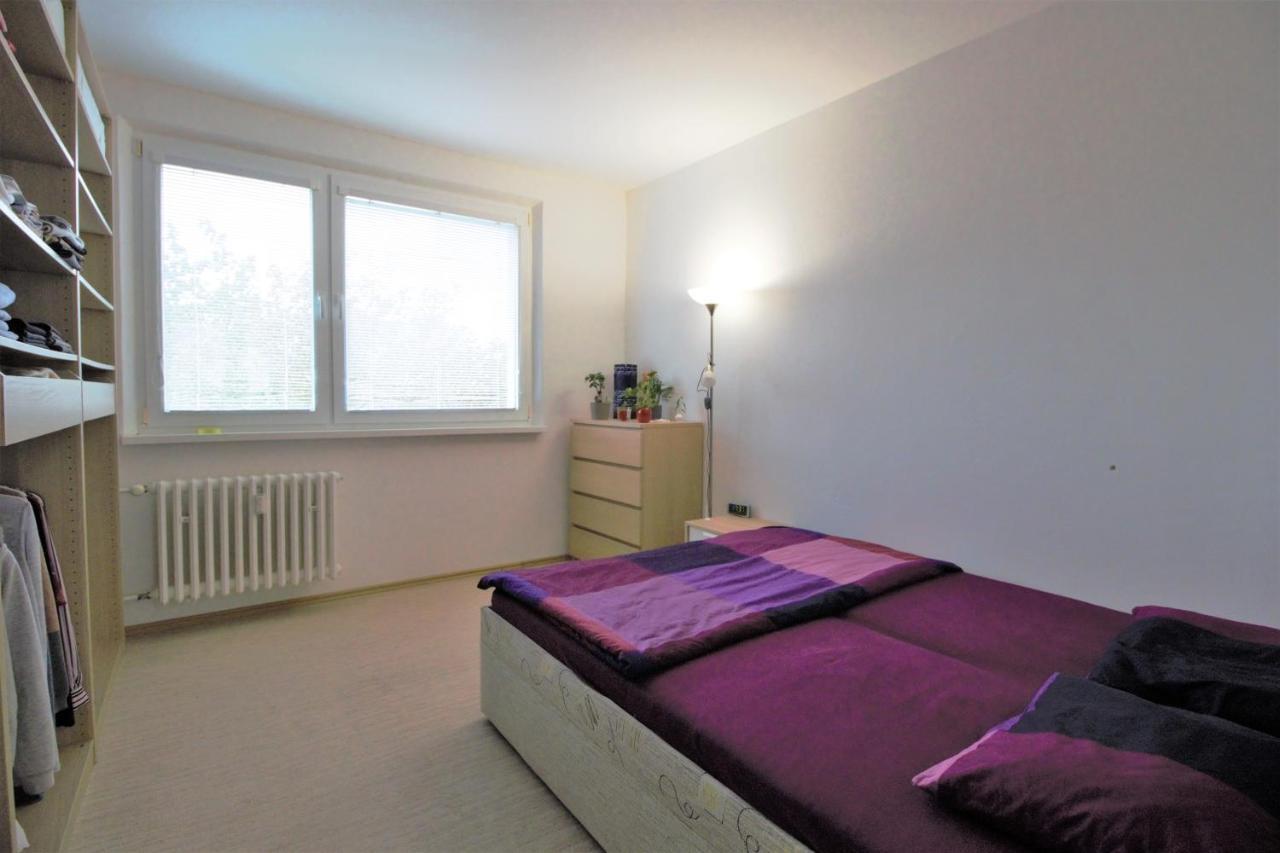 Cozy, Bright Room With Free Parking Братислава Екстериор снимка