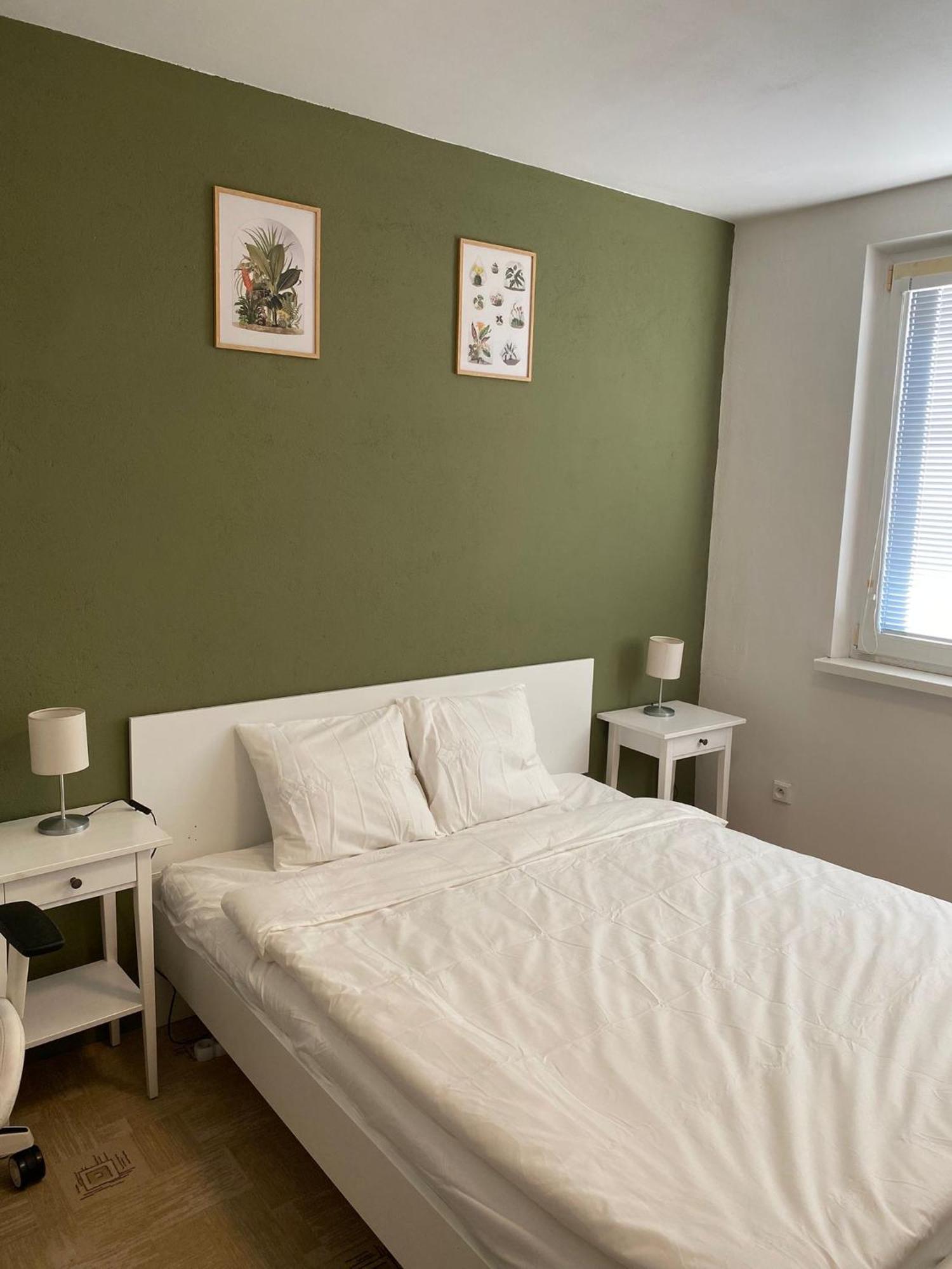 Cozy, Bright Room With Free Parking Братислава Екстериор снимка